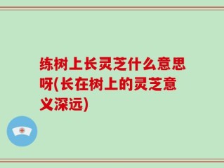 练树上长灵芝什么意思呀(长在树上的灵芝意义深远)