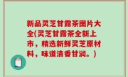 新品灵芝甘露茶图片大全(灵芝甘露茶全新上市，精选新鲜灵芝原材料，味道清香甘润。)