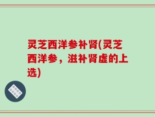 灵芝西洋参补肾(灵芝西洋参，滋补肾虚的上选)