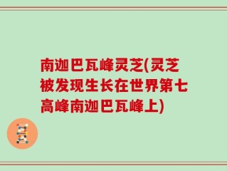 南迦巴瓦峰灵芝(灵芝被发现生长在世界第七高峰南迦巴瓦峰上)