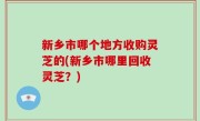 新乡市哪个地方收购灵芝的(新乡市哪里回收灵芝？)