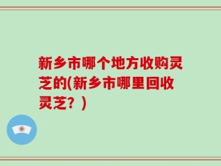 新乡市哪个地方收购灵芝的(新乡市哪里回收灵芝？)