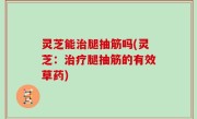 灵芝能治腿抽筋吗(灵芝：治疗腿抽筋的有效草药)