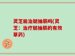 灵芝能治腿抽筋吗(灵芝：治疗腿抽筋的有效草药)