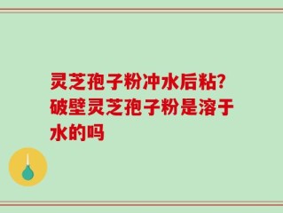 灵芝孢子粉冲水后粘？破壁灵芝孢子粉是溶于水的吗