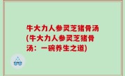牛大力人参灵芝猪骨汤(牛大力人参灵芝猪骨汤：一碗养生之道)