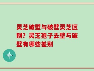 灵芝破壁与破壁灵芝区别？灵芝孢子去壁与破壁有哪些差别