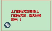 上门回收灵芝现场(上门回收灵芝，指尖珍稀营养！)