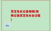 灵芝生长记录视频(视频记录灵芝生长全过程)