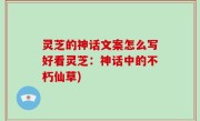 灵芝的神话文案怎么写好看灵芝：神话中的不朽仙草)