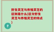 野生灵芝与养殖灵芝的区别是什么(区分野生灵芝与养殖灵芝的特点)