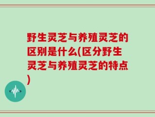 野生灵芝与养殖灵芝的区别是什么(区分野生灵芝与养殖灵芝的特点)