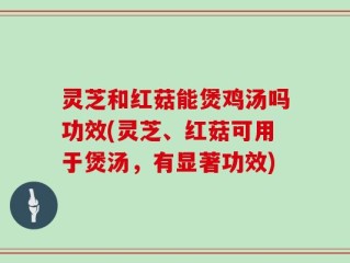 灵芝和红菇能煲鸡汤吗功效(灵芝、红菇可用于煲汤，有显著功效)
