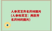 人参灵芝齐名药材图片(人参和灵芝：两款齐名药材的图片)