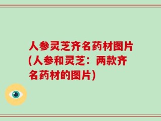人参灵芝齐名药材图片(人参和灵芝：两款齐名药材的图片)