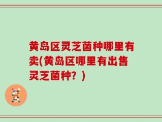 黄岛区灵芝菌种哪里有卖(黄岛区哪里有出售灵芝菌种？)