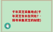 千年灵芝采集地点(千年灵芝生长在何处？-探寻采集灵芝的秘密)
