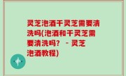 灵芝泡酒干灵芝需要清洗吗(泡酒和干灵芝需要清洗吗？ - 灵芝泡酒教程)