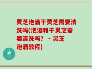 灵芝泡酒干灵芝需要清洗吗(泡酒和干灵芝需要清洗吗？ - 灵芝泡酒教程)