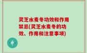 灵芝水麦冬功效和作用禁忌(灵芝水麦冬的功效、作用和注意事项)