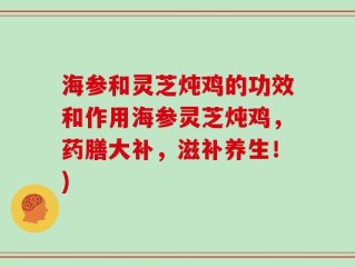 海参和灵芝炖鸡的功效和作用海参灵芝炖鸡，药膳大补，滋补养生！)