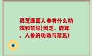 灵芝鹿茸人参有什么功效和禁忌(灵芝、鹿茸、人参的功效与禁忌)