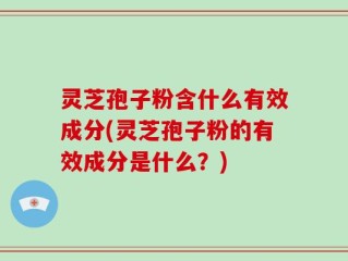 灵芝孢子粉含什么有效成分(灵芝孢子粉的有效成分是什么？)
