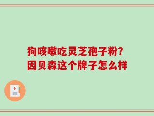 狗咳嗽吃灵芝孢子粉？因贝森这个牌子怎么样