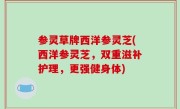 参灵草牌西洋参灵芝(西洋参灵芝，双重滋补护理，更强健身体)