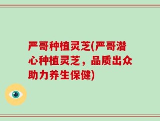 严哥种植灵芝(严哥潜心种植灵芝，品质出众助力养生保健)