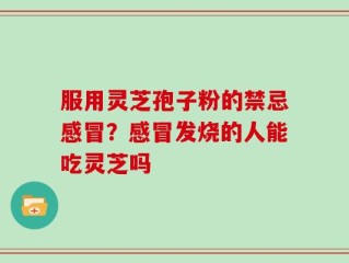 服用灵芝孢子粉的禁忌感冒？感冒发烧的人能吃灵芝吗