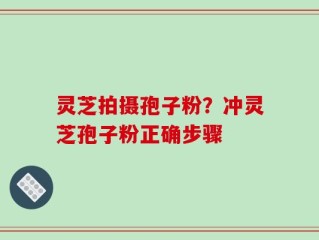 灵芝拍摄孢子粉？冲灵芝孢子粉正确步骤