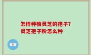 怎样种植灵芝的孢子？灵芝孢子粉怎么种