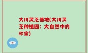 大川灵芝基地(大川灵芝种植园：大自然中的珍宝)