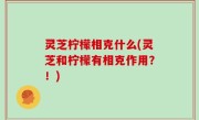 灵芝柠檬相克什么(灵芝和柠檬有相克作用？！)