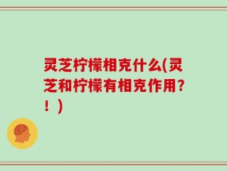 灵芝柠檬相克什么(灵芝和柠檬有相克作用？！)