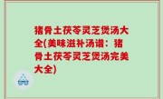 猪骨土茯苓灵芝煲汤大全(美味滋补汤谱：猪骨土茯苓灵芝煲汤完美大全)