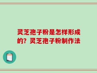灵芝孢子粉是怎样形成的？灵芝孢子粉制作法