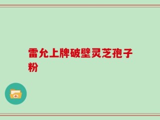 雷允上牌破壁灵芝孢子粉