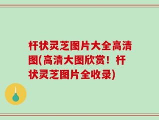 杆状灵芝图片大全高清图(高清大图欣赏！杆状灵芝图片全收录)