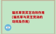 猫爪草煲灵芝功效作用(猫爪草与灵芝煲汤的功效及作用)