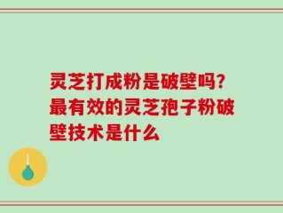 灵芝打成粉是破壁吗？最有效的灵芝孢子粉破壁技术是什么