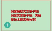 润馨破壁灵芝孢子粉(润馨灵芝孢子粉：突破壁技术提高吸收率)