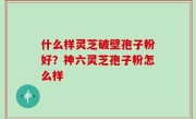 什么样灵芝破壁孢子粉好？神六灵芝孢子粉怎么样