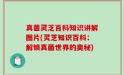 真菌灵芝百科知识讲解图片(灵芝知识百科：解锁真菌世界的奥秘)