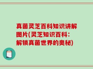 真菌灵芝百科知识讲解图片(灵芝知识百科：解锁真菌世界的奥秘)