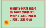 石斛西洋参灵芝五指毛桃(五种天然植物提升免疫力：石斛、西洋参、灵芝、五指毛桃)