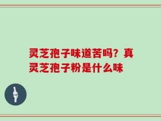 灵芝孢子味道苦吗？真灵芝孢子粉是什么味