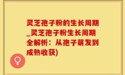 灵芝孢子粉的生长周期_灵芝孢子粉生长周期全解析：从孢子萌发到成熟收获)