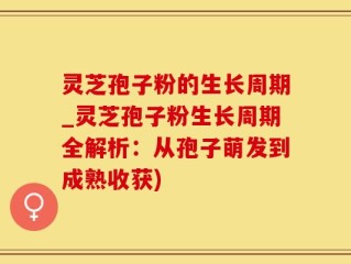 灵芝孢子粉的生长周期_灵芝孢子粉生长周期全解析：从孢子萌发到成熟收获)